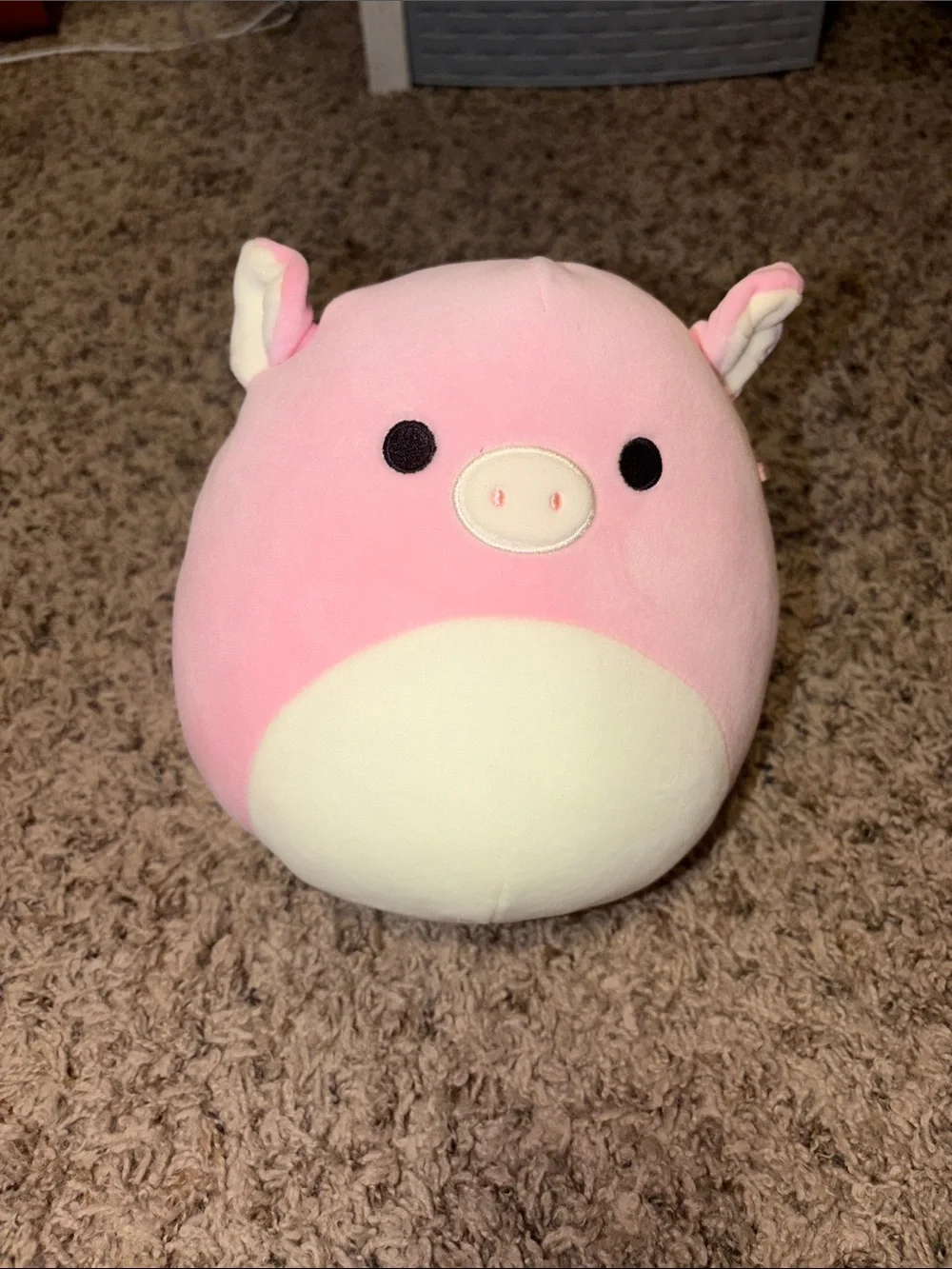 Squishmallow 8 in Pig Peter Kellytoy NWOT